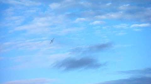 Multiplex Acromaster 3D