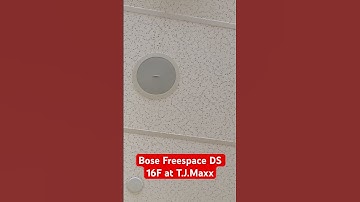Bose Freespace DS 16F at T.J.Maxx