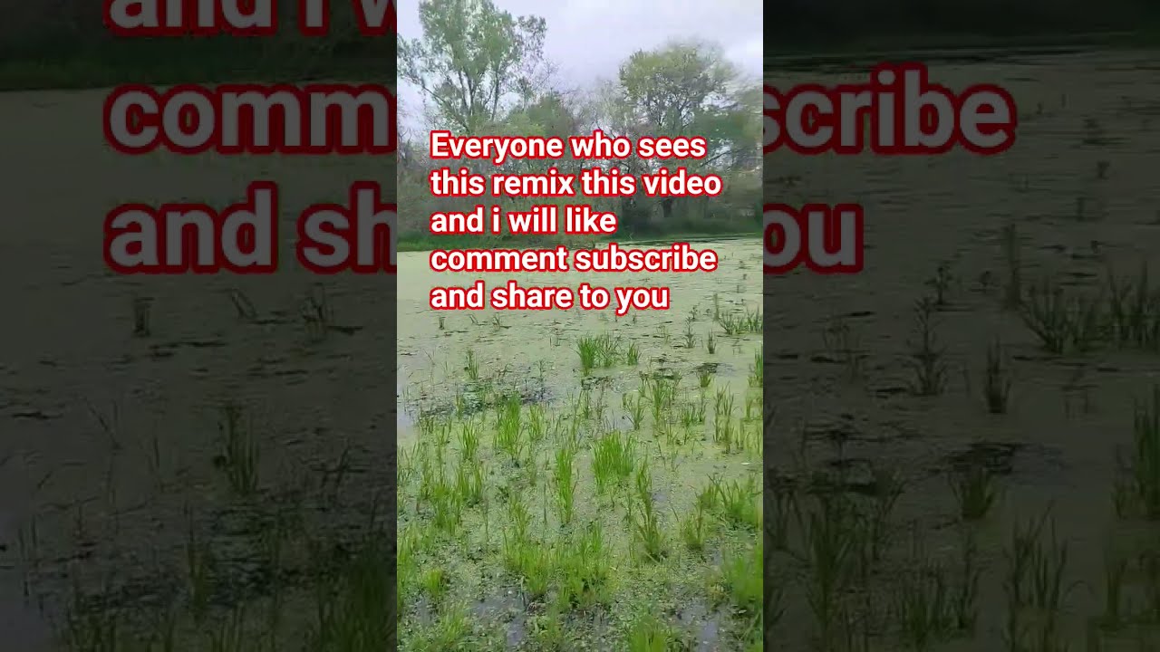 I Really Will