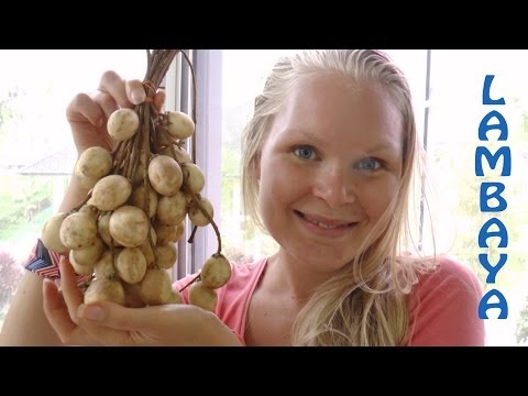 How to open and eat Rambai Fruit