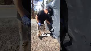 The Most Dangerous Way To Take A Photo On Tt