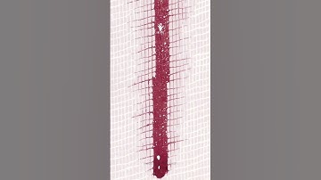 Stefan Visan: Technology, identity, and the human experience.