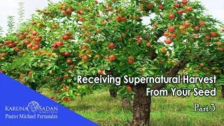 KSM | Episode 482 | Receiving Supernatural Harvest from Your Seed - 3 | Pastor Michael Fernandes