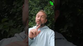 ЛЕГКО: 🌻 Как вывести ТЛЮ БЕЗ капли яда и опрыскивания! Простой и вечный метод 🛑🛡️