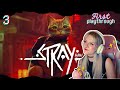 This orange kitty is smarter than I will ever be! First time playing Stray in 2025 - Part 3
