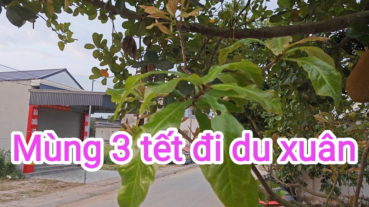 Mùng 3 thời tiết đẹp du xuân