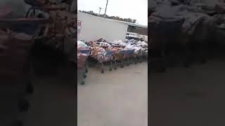 What happens behind the scenes at walmart