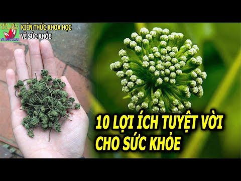 Video: Mười lợi ích hàng đầu của Vườn Thảo mộc