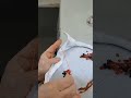 YAA ÇOK GÜZEL OLDUU