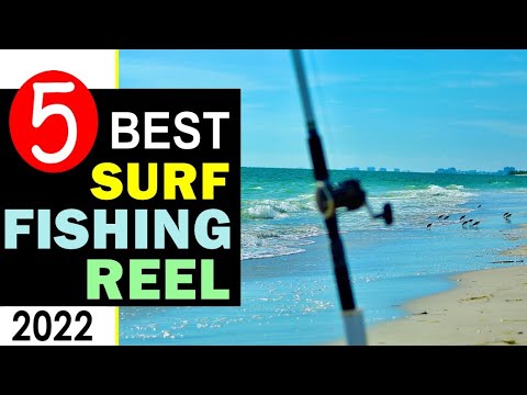 10 Best Surf Fishing Reels in 2020 [Buying Guide] Reviews - Globo