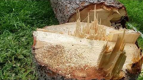 Adjusted Gun Plus Tapered Hinge with a Little Luck