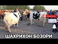 АНДИЖОН ШАХРИХОН ХОЛДАНБЕК МОЛ БОЗОРИ НАРХЛАРИ 2021  ANDIJON SHAXRIHON JÒJA MOL BOZORI NARXLARI 2021