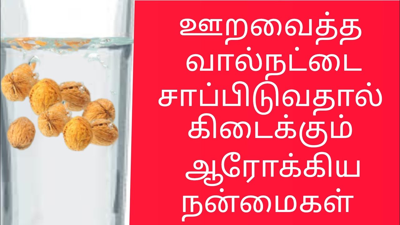 walnut benefits in tamil YouTube