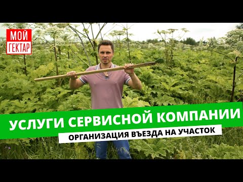 КАК СДЕЛАТЬ ВЪЕЗД НА ГЕКТАР? | УСЛУГИ СЕРВИСНОЙ КОМПАНИИ | БИТВА С БОРЩЕВИКОМ | ОТ СОХИ ДО СОХИ