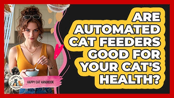 Are Automated Cat Feeders Good For Your Cat