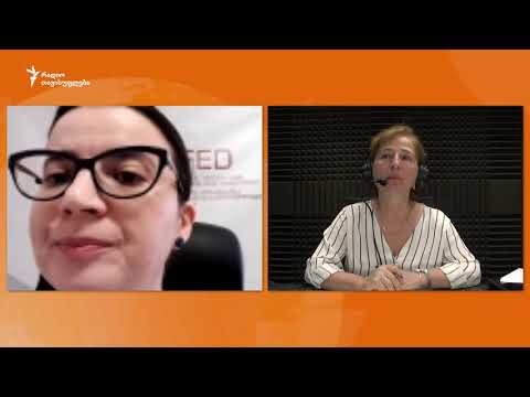 ელენე ნიჟარაძე 2020 წლის წინასაარჩევნო გარემოს შესახებ