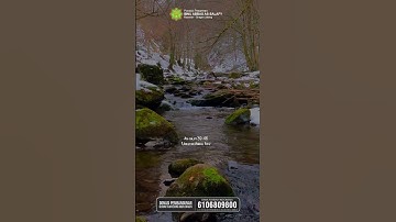 Thumbnail of Surah An Najm Ayat 39-46 Merdu #murottal #ngaji #alquran #tilawahquran #quran #shorts