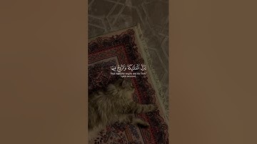 سوره القدر 🩷بصوت ماهر المعيقلي #ماهر_المعيقلي  #ليلة_القدر #سورة_القدر #قرآن