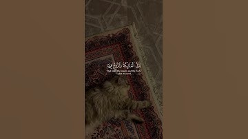 سوره القدر 🩷بصوت ماهر المعيقلي #ماهر_المعيقلي  #ليلة_القدر #سورة_القدر #قرآن