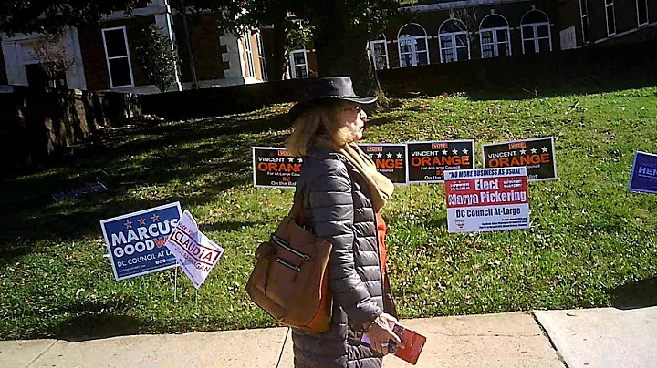 DC Council candidate Marya Pickering interviewed b...