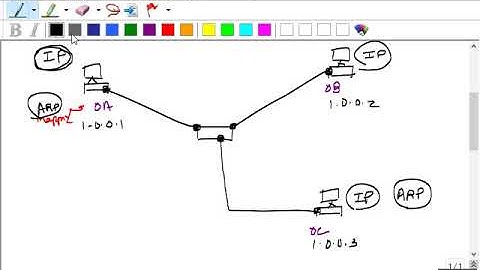 Loop Avoidance Nanda Day5 TCP IP ICMP ARP Part 2