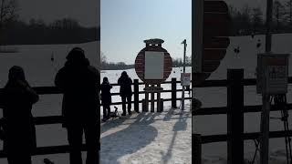 Feeding station for Red-crowned Cranes, Tsurui village, Hokaido, Japan, 01/03/2025.