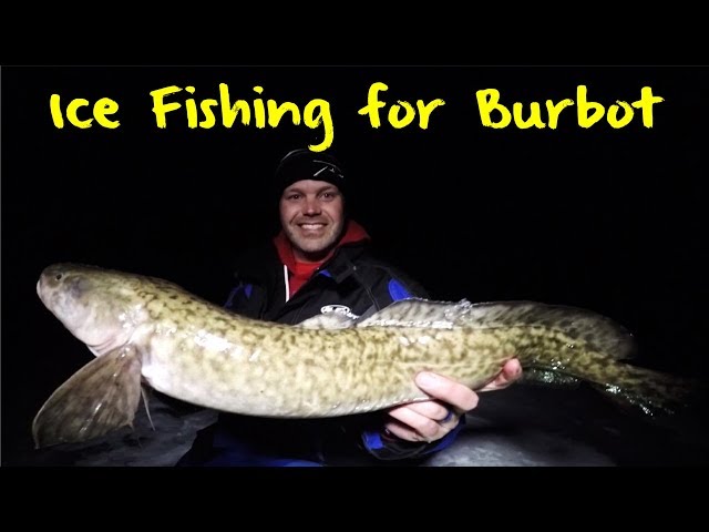 Night Ice: Epic Burbot Fishing 