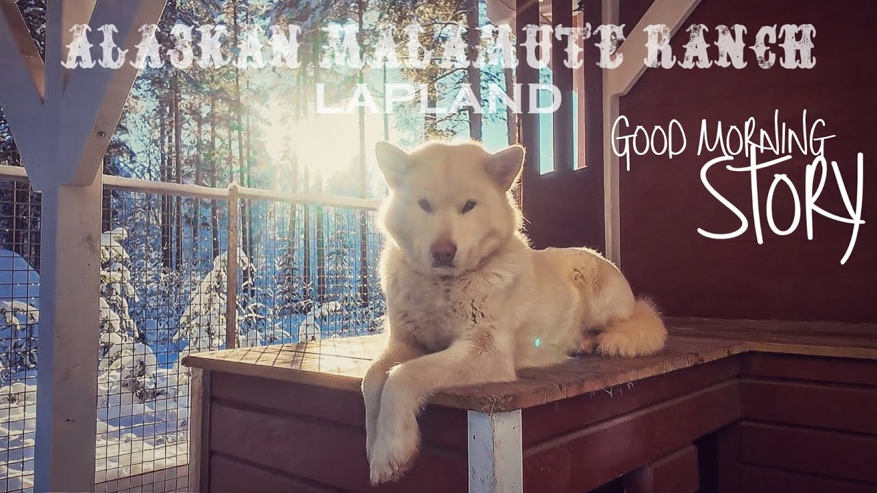 Good Morning Story #9 | unfaire Vermietung 