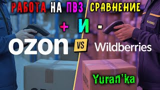видео: РАБОТА на ПВЗ Ozon и Wildberries | СРАВНЕНИЕ, ОТЛИЧИЯ, ПЛЮСЫ и МИНУСЫ картинка: РАБОТА на ПВЗ Ozon и Wildberries | СРАВНЕНИЕ, ОТЛИЧИЯ, ПЛЮСЫ и МИНУСЫ
