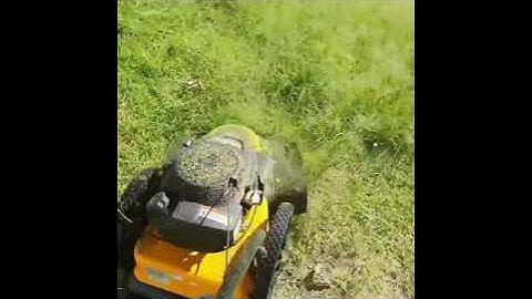 Lawn Mowing Better Than a Weed Eater Cub Cadet St 100