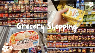 Daily Vlog | Grocery Shopping ⋆ ˚｡⋆୨୧˚