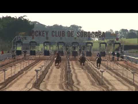 Vídeo: Páreo Haras Monte Verde