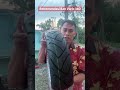 Review Ban Vario 160