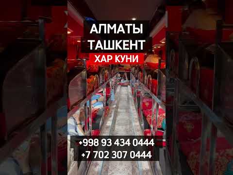 Алматы Ташкент спальный салон автобус #алматы #ташкент #спальныйсалон #автобус