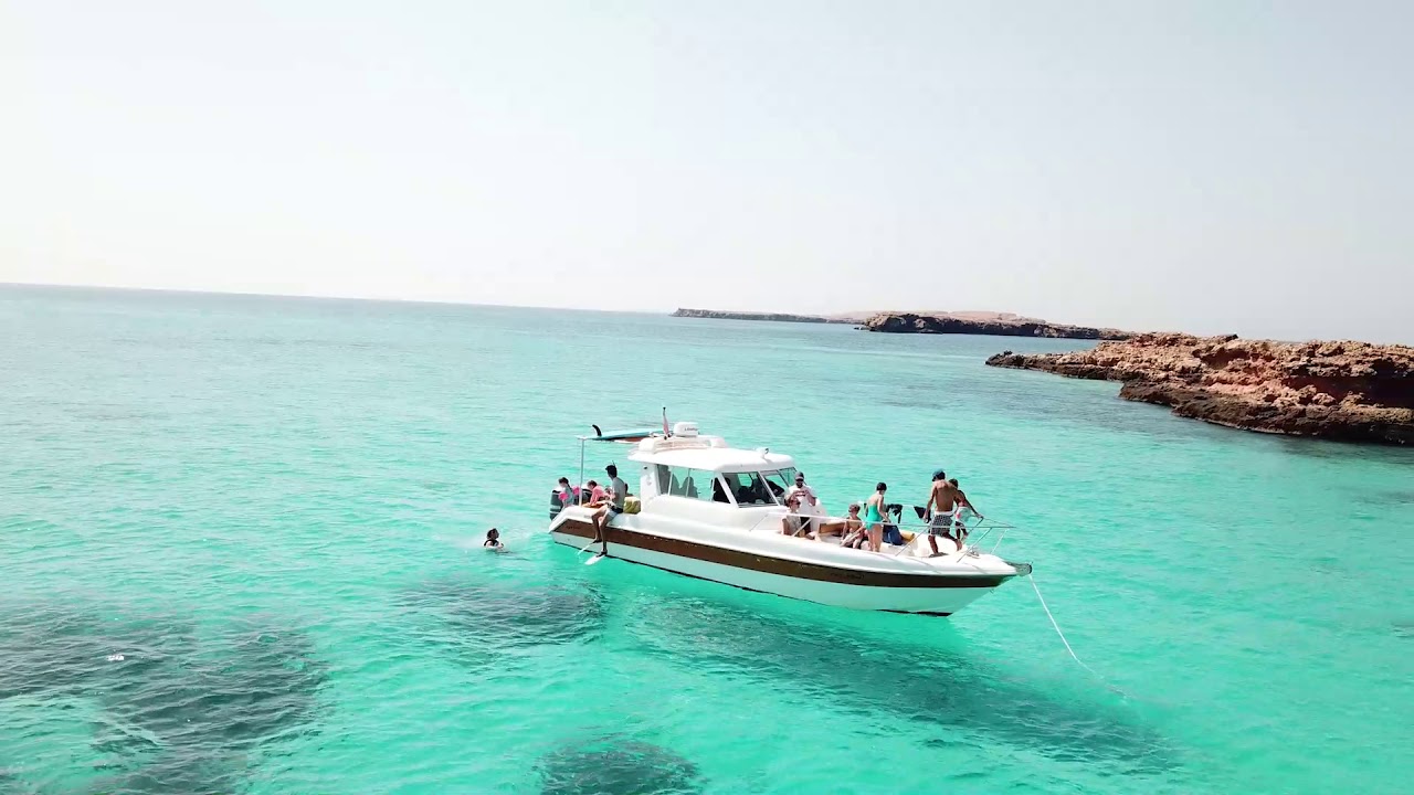 Blue Wave's Trip to the Dimaniyat Island