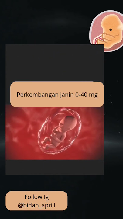 perkembangan janin 0-40 Minggu #janin #baby #lahiran #bumil