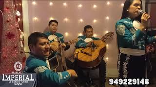 FELIZ NAVIDAD  MARIACHI IMPERIAL DE CARLOS TORRES