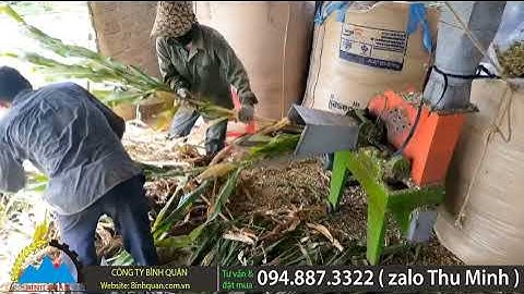 Máy Băm Cỏ 1T - Băm Cỏ, Cây Ngô, Cà Gai Leo - LH 0948873322