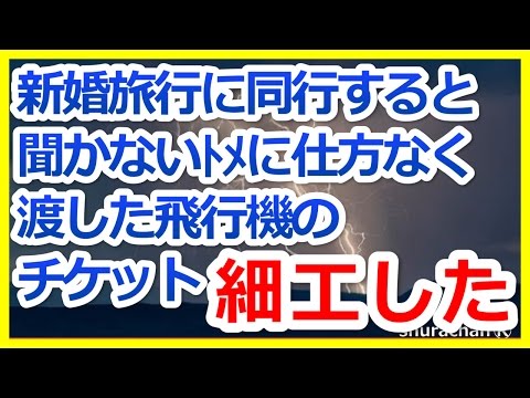 【修羅場】　新婚旅行に同行すると聞かないトメに買って渡した飛行機のチケットに細工した……【修羅場 離婚 浮気 復讐 スカッとetc】