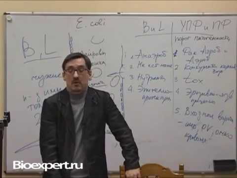 Владельцам кошек и собак! Лямблии и паразиты