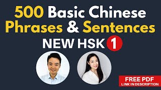 Learn Basic Chinese Words in Phrases & Sentences for Beginners New HSK 1 Vocabulary Examples HSK 3.0 screenshot 2