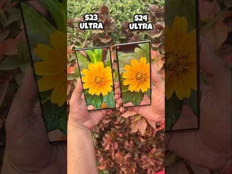 Samsung S23 Ultra vs S24 Ultra Camera Test #samsung #s23ultra #s24ultra #trending #shorts