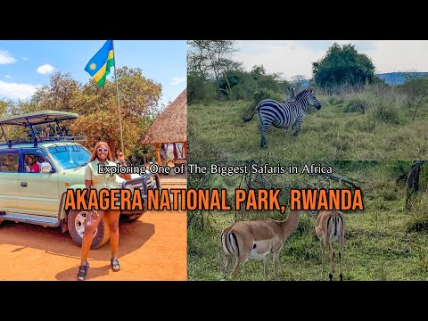 Akagera National Park, Rwanda Blew my Mind. Never see Wildlife This Uplcose in My Life!