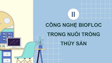 BÀI 21 MỘT SỐ ỨNG DỤNG CÔNG NGHỆ CAO TRONG NUÔI THỦY SẢN