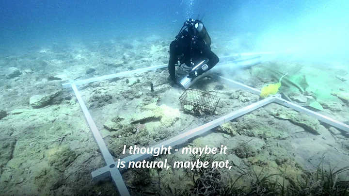 Archaeologist discovers 6,000 year-old island settlement
