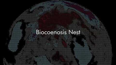 Biocoenosis Nest: A City Woven by Collective Intelligences Thesis Video