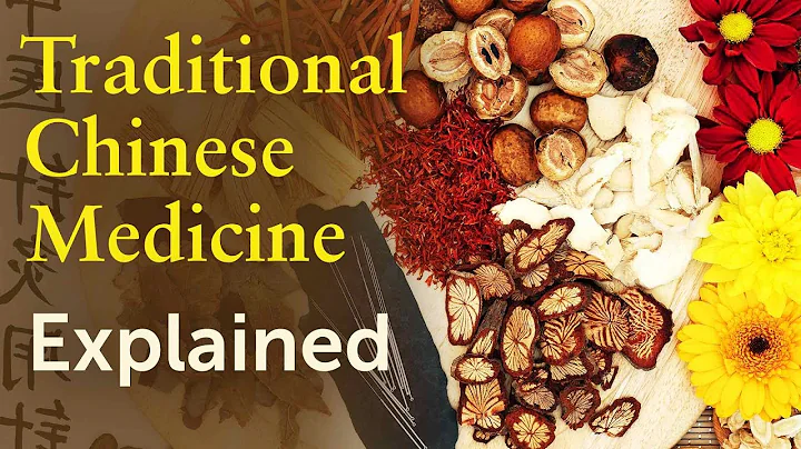 Five Pillars of Traditional Chinese Medicine Explained for Westerners - DayDayNews