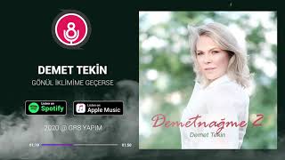 Gönül İklimime Düşerse - Demetnağme 2 - Demet Tekin Resimi