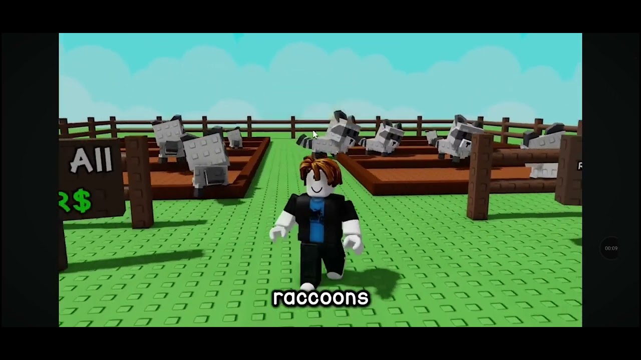 How to get DUPED RACCOONS in grow a garden 2025 - YouTube