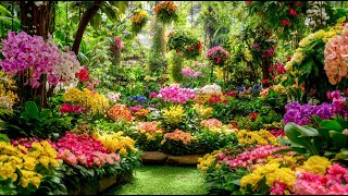 Floral Oasis Design 2025: Layered Blooms & Structure for Year‑Round Interest screenshot 3